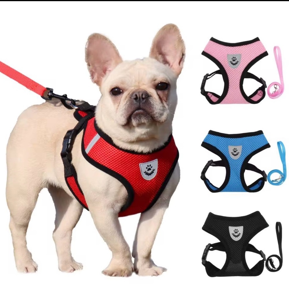 Comfort Mesh Dog Harness with Leash - Red